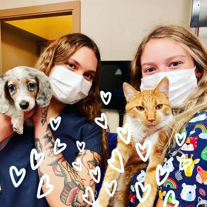 Images Highland's Pet Medical Clinic