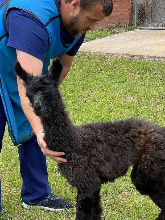 Images Walton County Animal Clinic