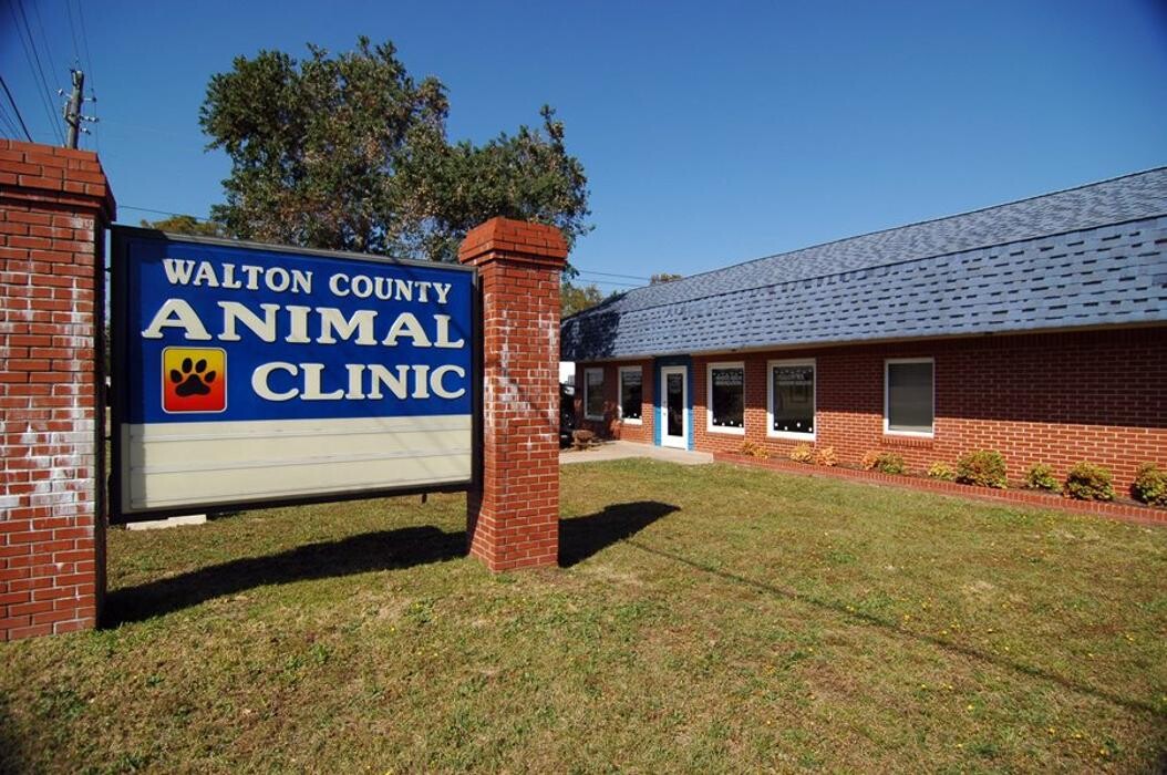 Images Walton County Animal Clinic