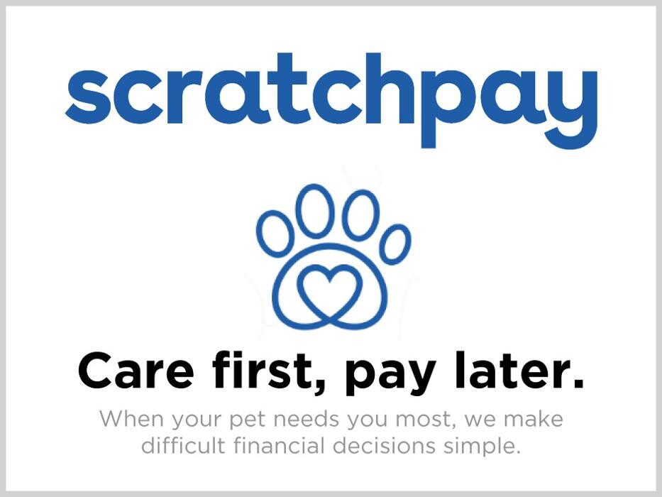 Images Spay Neuter Clinic of the Carolinas