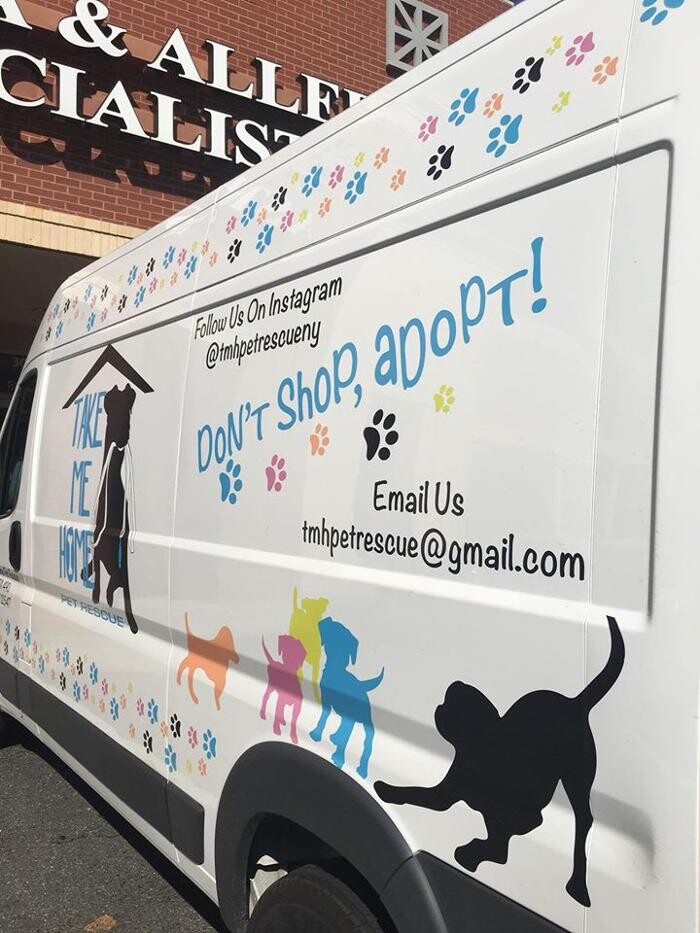 Images Spay Neuter Clinic of the Carolinas