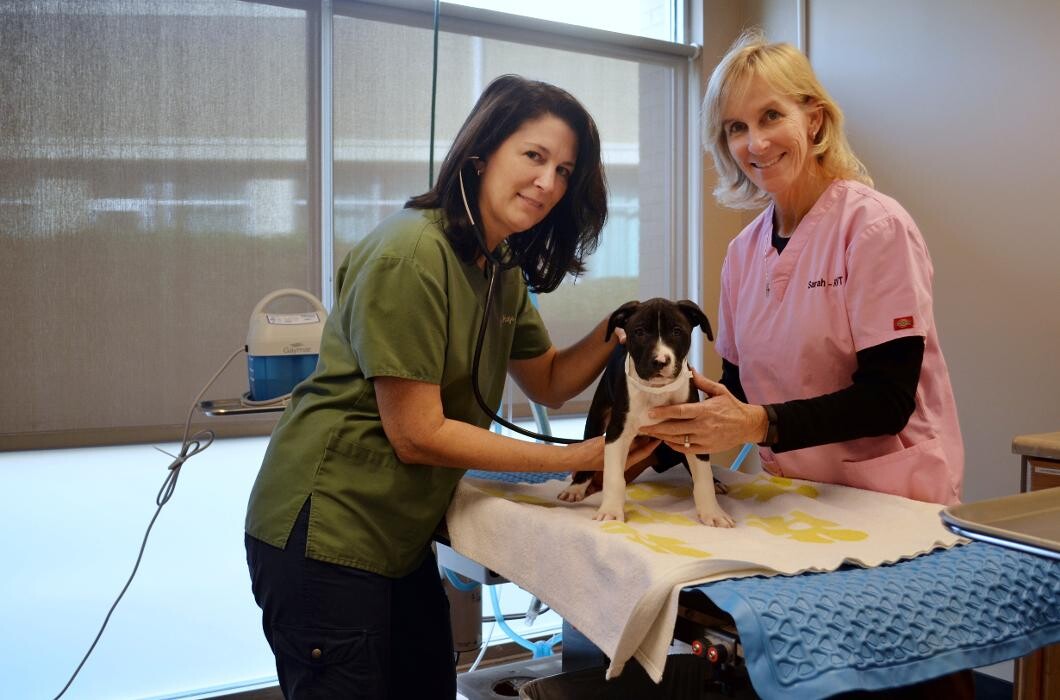 Images Spay Neuter Clinic of the Carolinas
