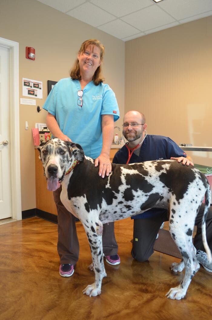 Images Spay Neuter Clinic of the Carolinas