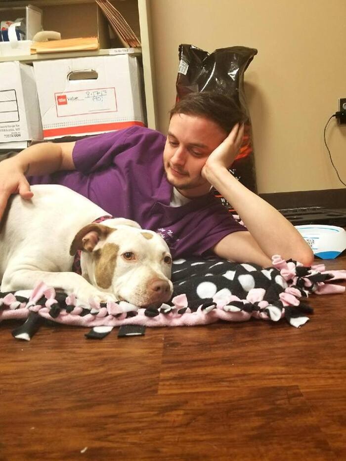 Images Spay Neuter Clinic of the Carolinas