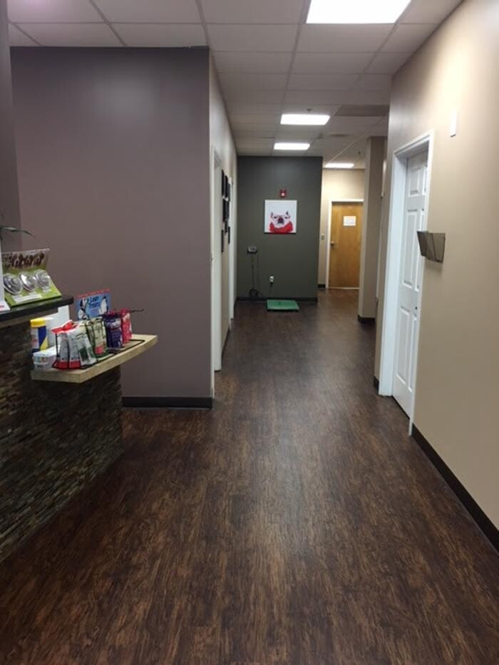 Images Spay Neuter Clinic of the Carolinas