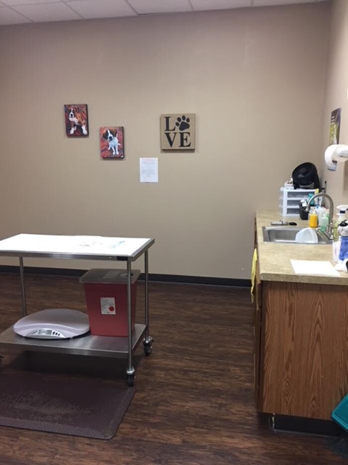 Images Spay Neuter Clinic of the Carolinas