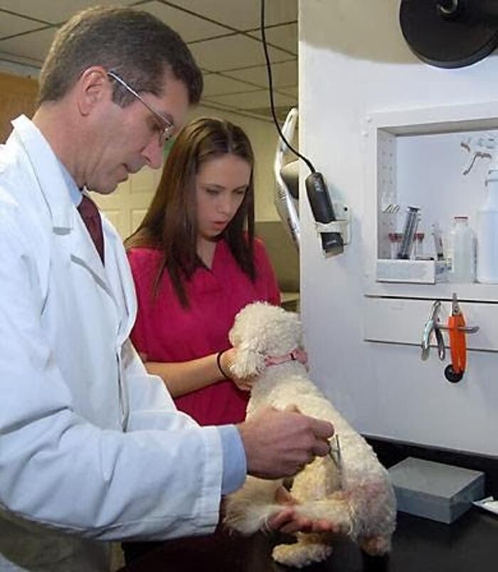 Images Tellico Plains Clinic