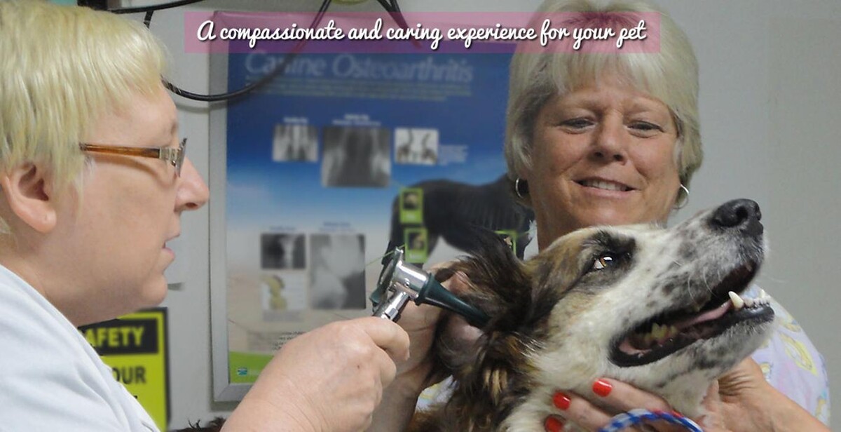Images Tellico Plains Clinic