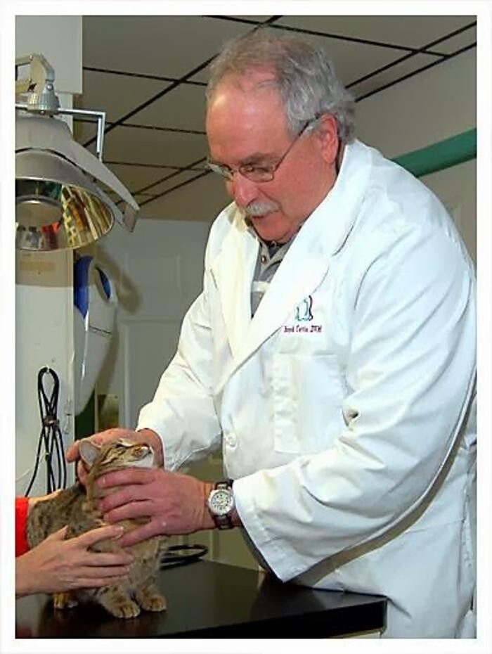 Images Tellico Plains Clinic