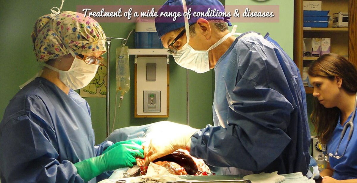 Images Tellico Plains Clinic