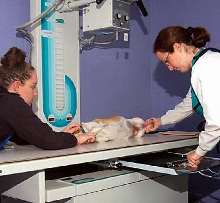 Images Tellico Plains Clinic
