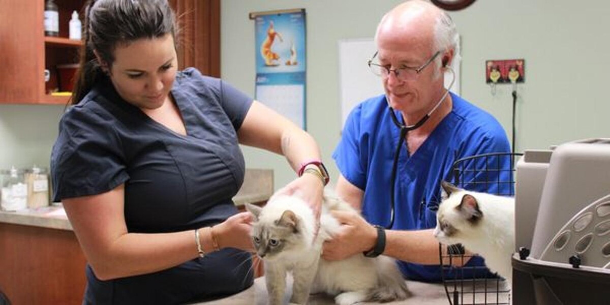 Images DeKalb Animal Clinic