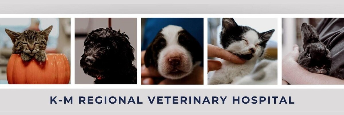 Images K-M Regional Veterinary Hospital