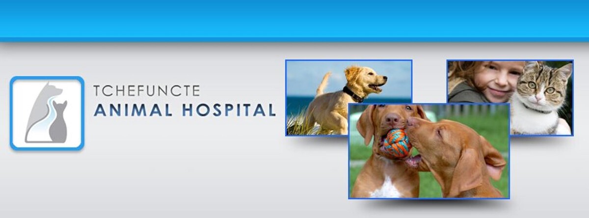 Images Tchefuncte Animal Hospital