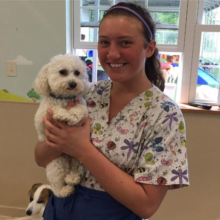 Images All Creatures Veterinary Clinic & Lodge