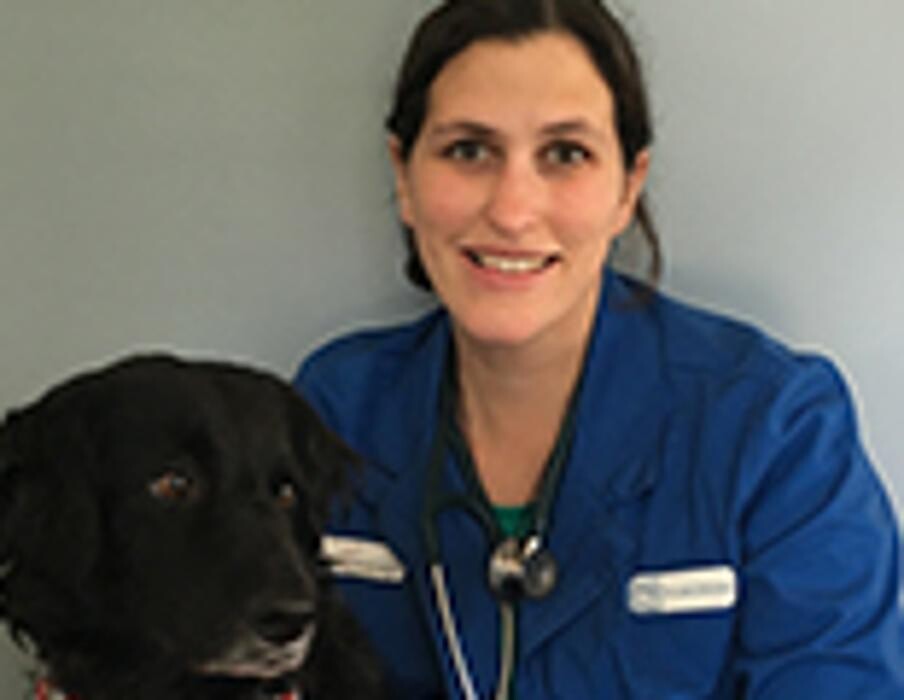 Images All Creatures Veterinary Clinic & Lodge