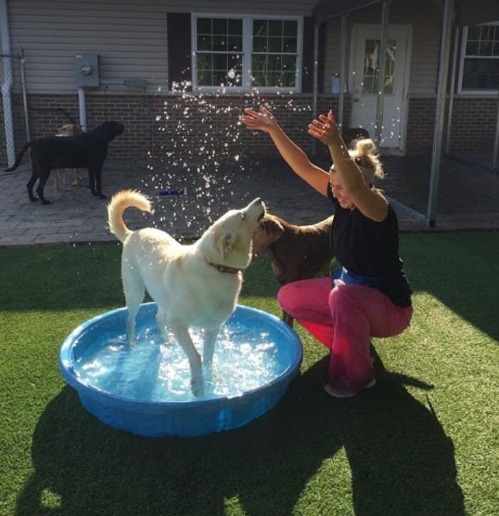 Images All Creatures Veterinary Clinic & Lodge