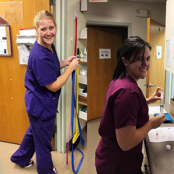 Images All Creatures Veterinary Clinic & Lodge