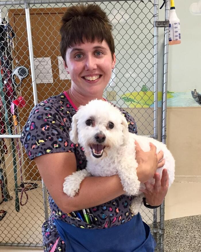 Images All Creatures Veterinary Clinic & Lodge