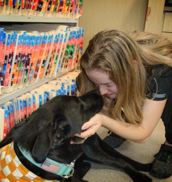 Images Winchester Pet Care Center