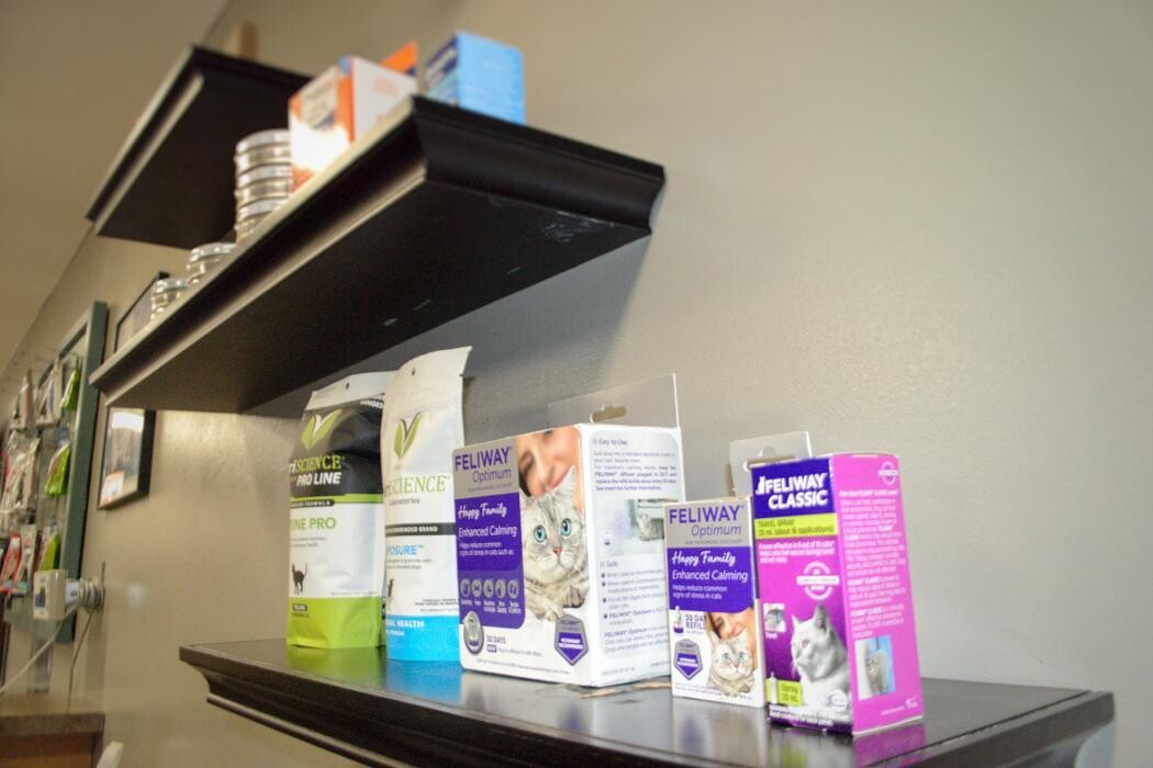 Images Winchester Pet Care Center