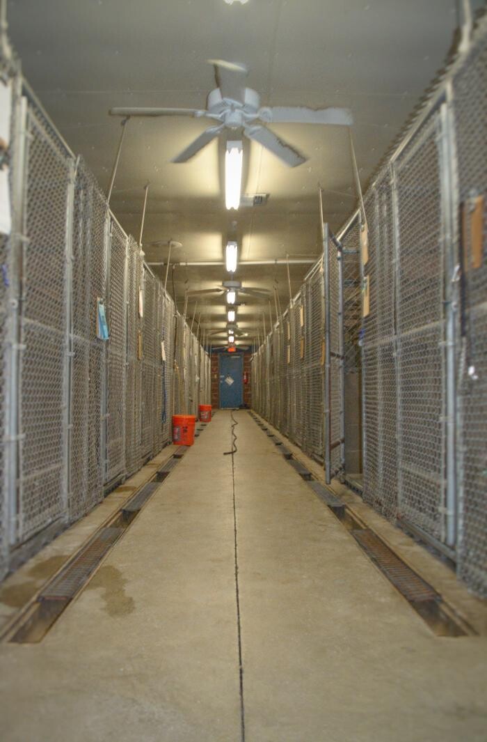 Images Winchester Pet Care Center