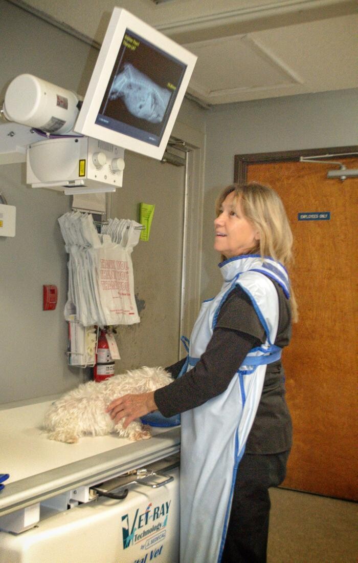 Images Winchester Pet Care Center