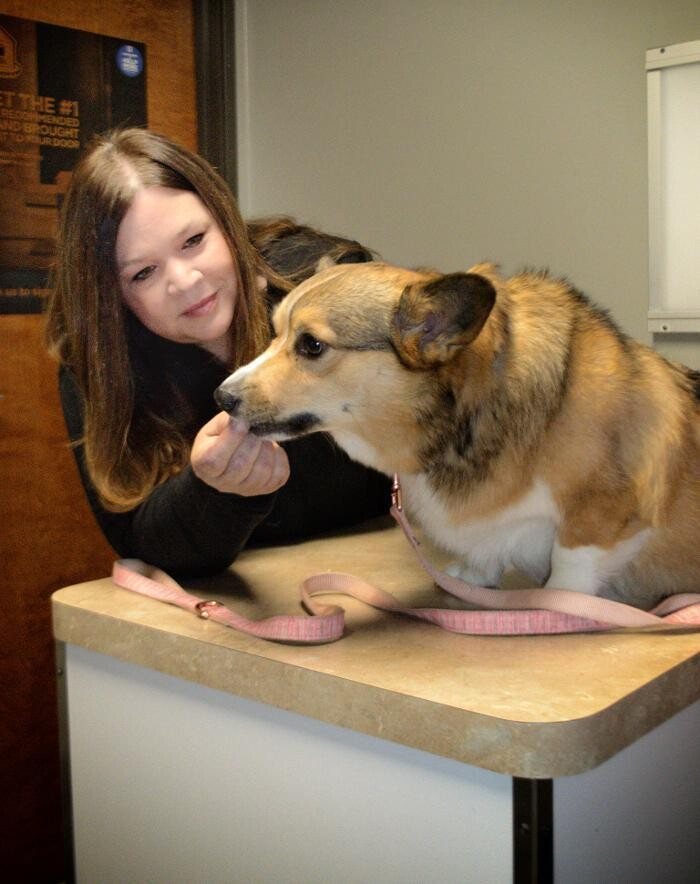 Images Winchester Pet Care Center