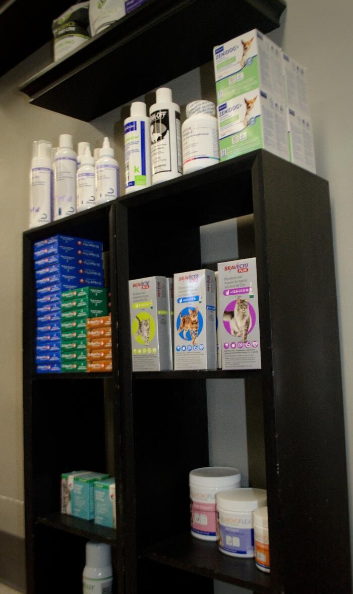 Images Winchester Pet Care Center