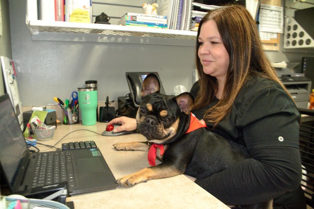 Images Winchester Pet Care Center