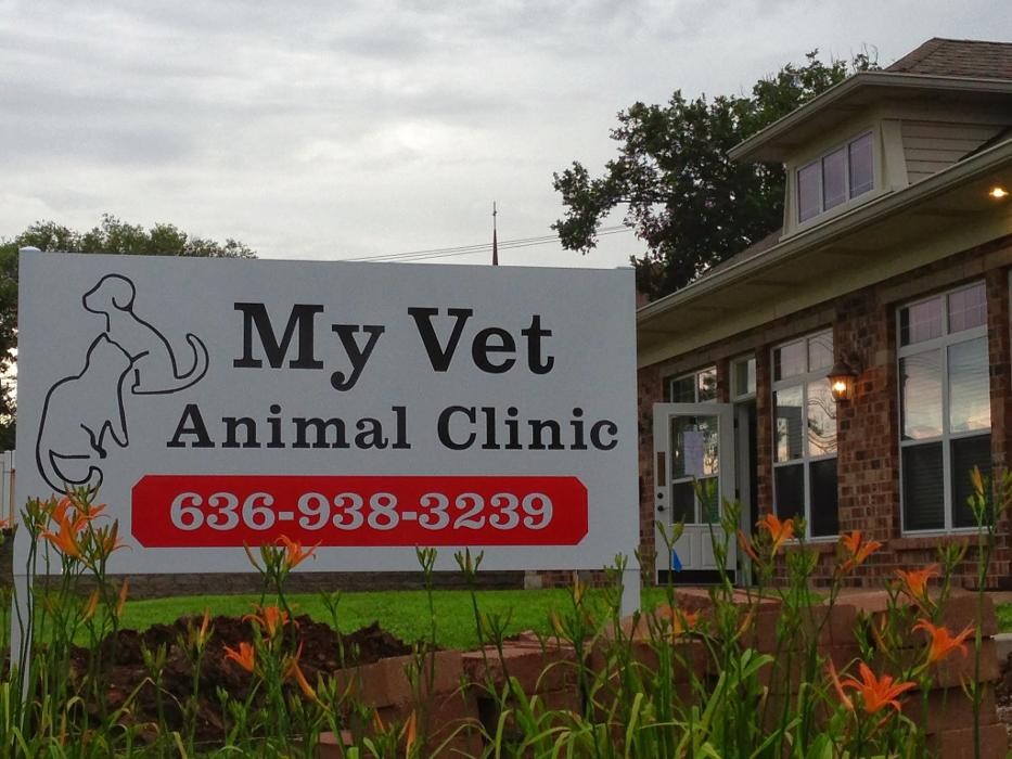 Images My Vet Animal Clinic