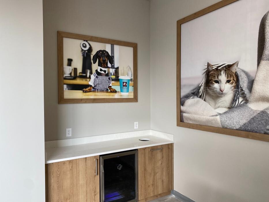 Images Pet Check Urgent Care