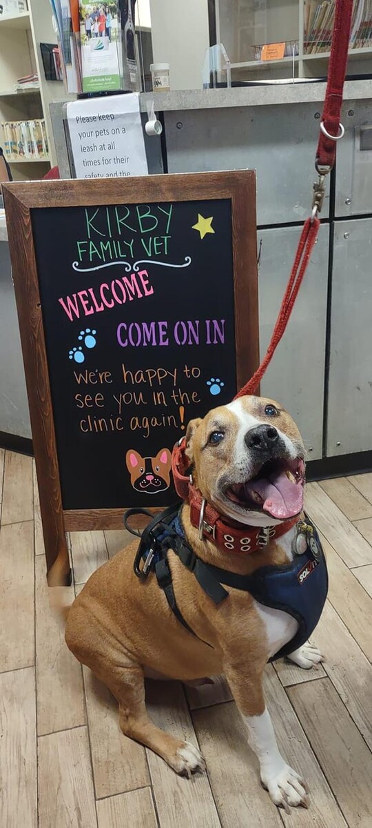 Images Kirby Family Vet