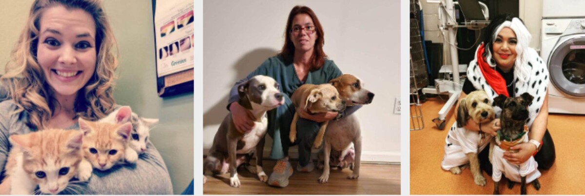 Images Lovell Animal Hospital