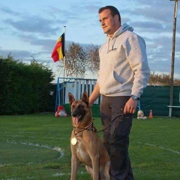 Images Resolutions K9 Training Center