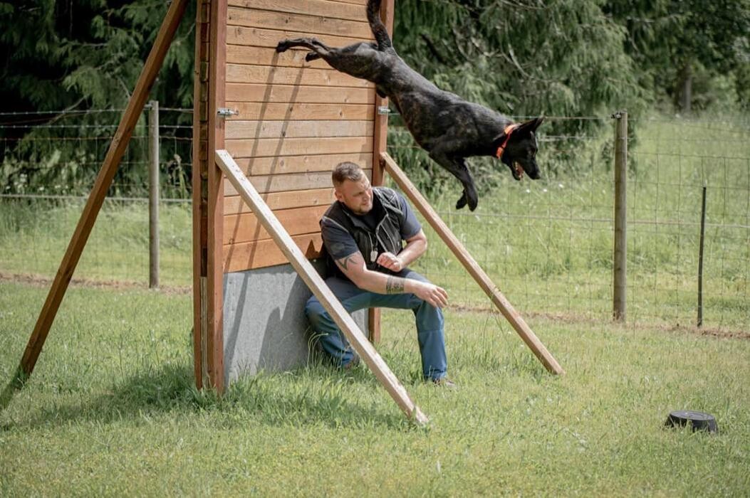Images Resolutions K9 Training Center