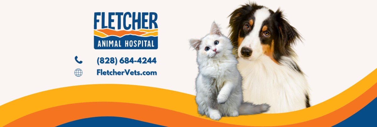 Images Fletcher Animal Hospital