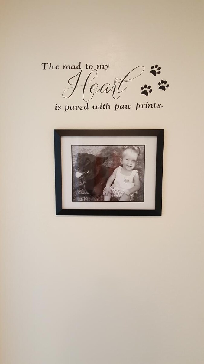 Images Aspen Ridge Animal Hospital