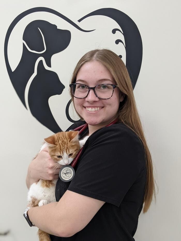 Images Aspen Ridge Animal Hospital