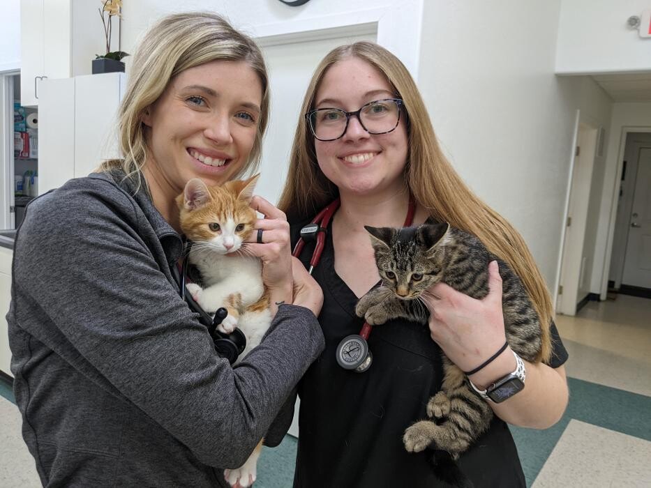 Images Aspen Ridge Animal Hospital