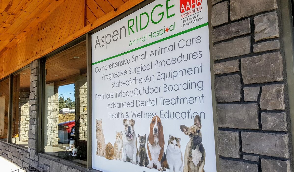 Images Aspen Ridge Animal Hospital