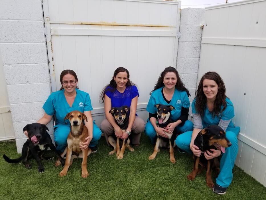 Images Aspen Ridge Animal Hospital