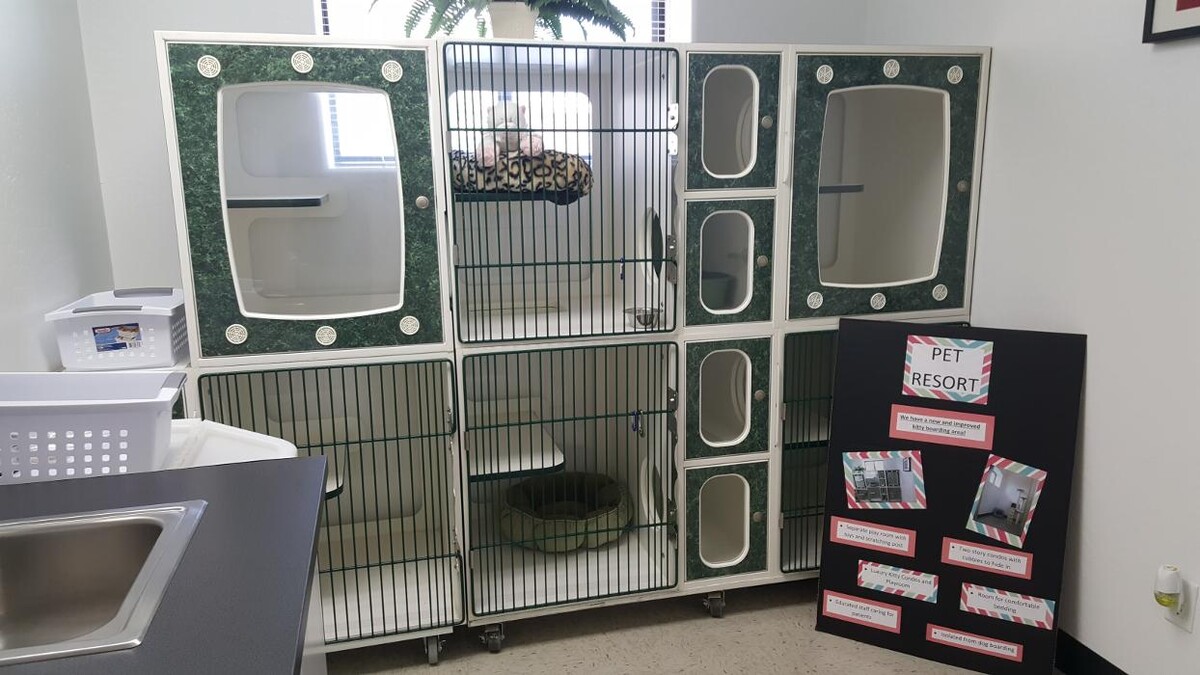 Images Aspen Ridge Animal Hospital