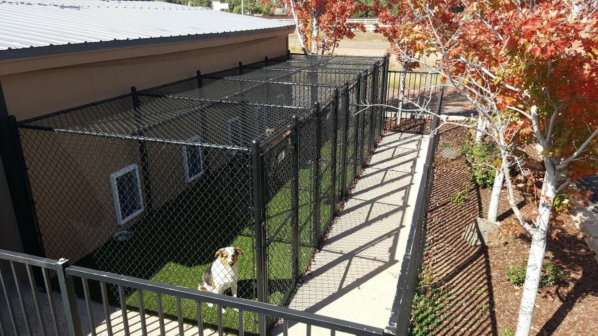 Images Aspen Ridge Animal Hospital