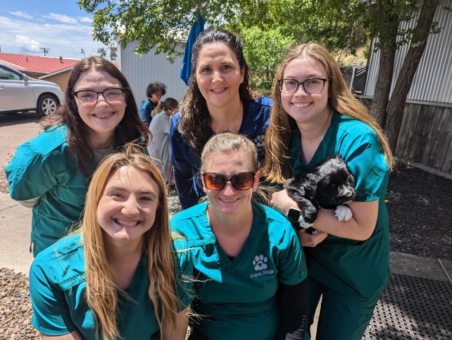 Images Aspen Ridge Animal Hospital