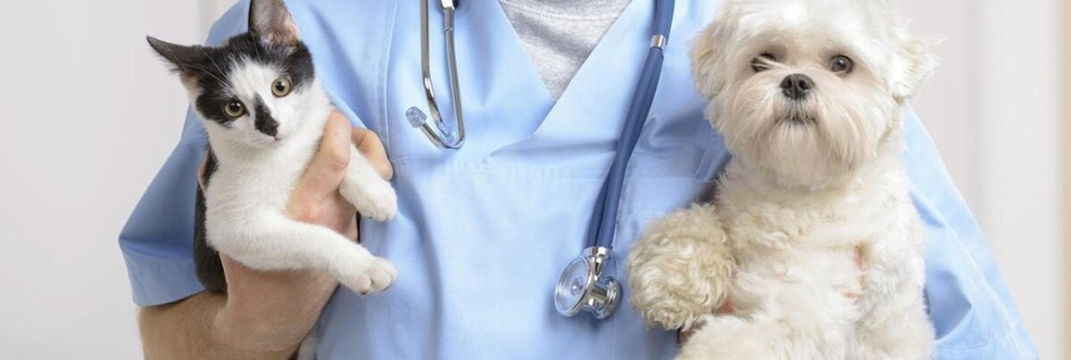 Images Warr Acres Animal Clinic