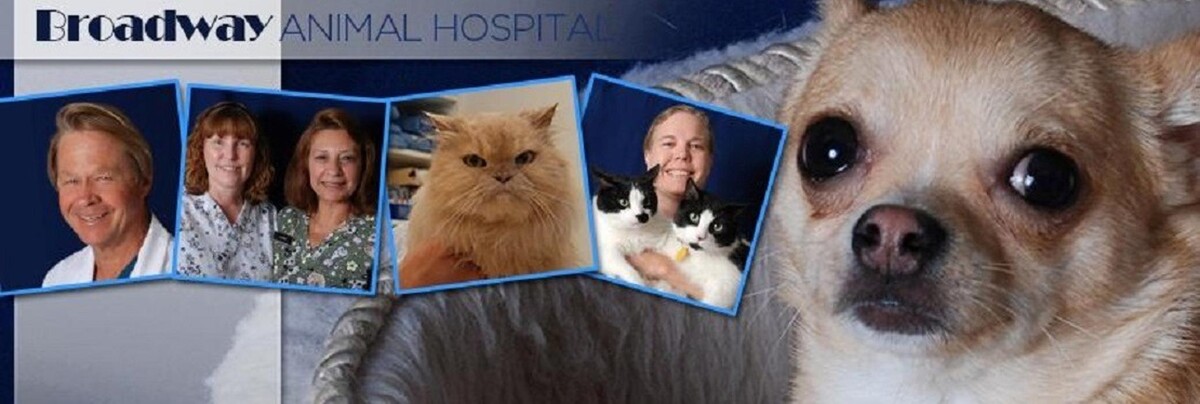 Images Broadway Animal Hospital