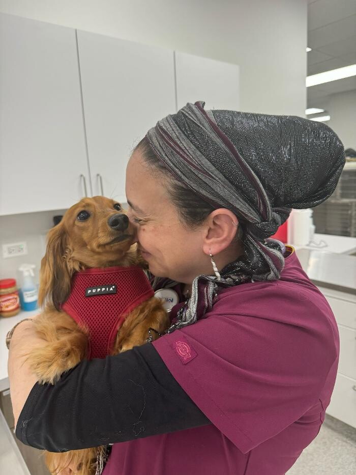 Images Broadway Animal Hospital