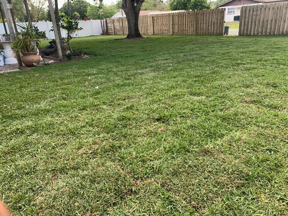 Images Loyalty Lawn & Landscape