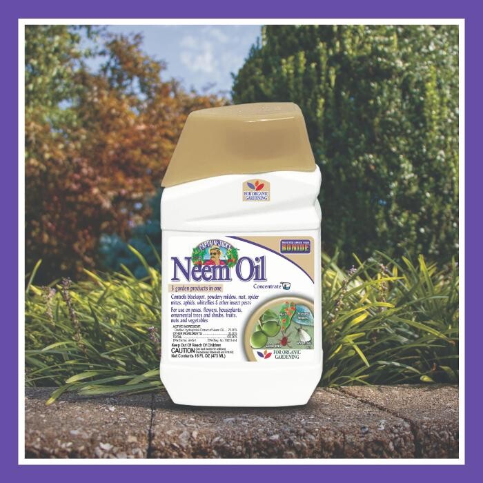 Images H Houst & Son Inc